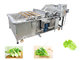 Обрабатывающее оборудование фрукта и овоща стиральной машины овоща лист без Даманаге поставщик